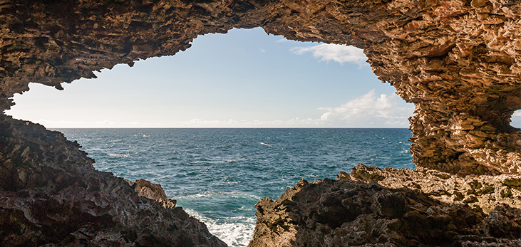Inside View of the Animal Flower Cave, St. Lucy, Barbados Pocket Guide