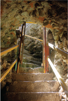 Stairs That Lead from the Cliff Down to the Animal Flower Cave, St. Lucy, Barbados Pocket Guide