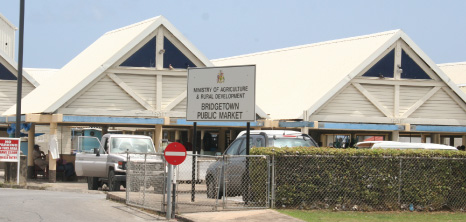 Entrance to the Bridgetown Fish Market, Barbados Pocket Guide