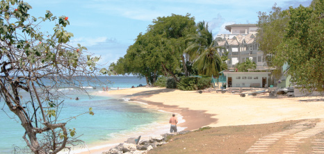 paynes-bay-beach_1