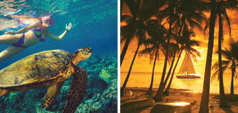 A Visitor Swimming with Turtles & a Tiami Catamaran Out on a Sunset Cruise, Barbados Pocket Guide
