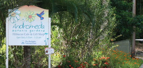 Sign Outside Entrance of Andromeda Botanic Gardens, St. Joseph, Barbados Pocket Guide