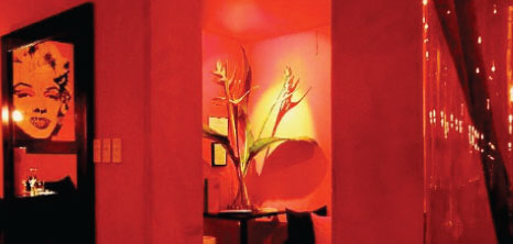 Bright Red Feature Wall with Floral Arrangement & Photo of Marilyn Monroe, Scarlet Bar & Restaurant, Paynes Bay, St. James, Barbados Pocket Guide