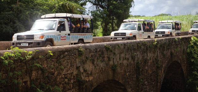 Convoy of Island Safari Jeeps on Tour in Barbados