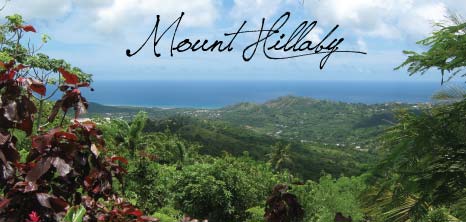 Scenic View of Mount  Hillaby, St. Andrew, Barbados Pocket Guide