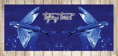 Flying Fish in Flight Over the Ocean, Barbados Pocket Guide