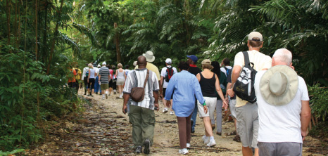 Hikers on a Sunday Morning Hike Through Apes Hill, St. James, Barbados Pocket Guide