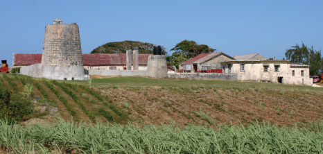 Old Plantation House in St. Peter, Barbados Pocket Guide