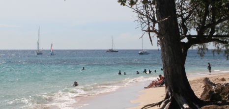 Sea Bathers at Folkestone Beach, Holetown, St. James, Barbados Pocket Guide