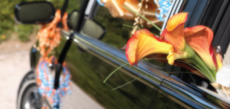 Decorated Limousine on a Wedding Day, Barbados Pocket Guide