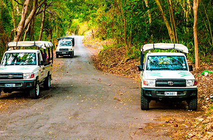 TAB 2 Top 10 Island Tours Island Safari