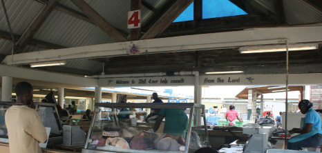 Fish for Sale at the Bridgetown Fish Market, Barbados Pocket Guide