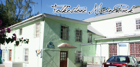 Folkestone Marine Park, Folkestone, St. James, Barbados Pocket Guide