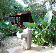 The Garden at Graeme Hall Sanctuary, Christ Church, Barbados Pocket Guide