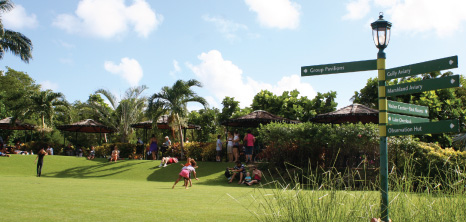 Graeme Hall Nature Sanctuary, Christ Church, Barbados Pocket Guide