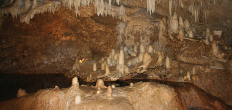 Harrisons Cave, St. Thomas, Barbados Pocket Guide