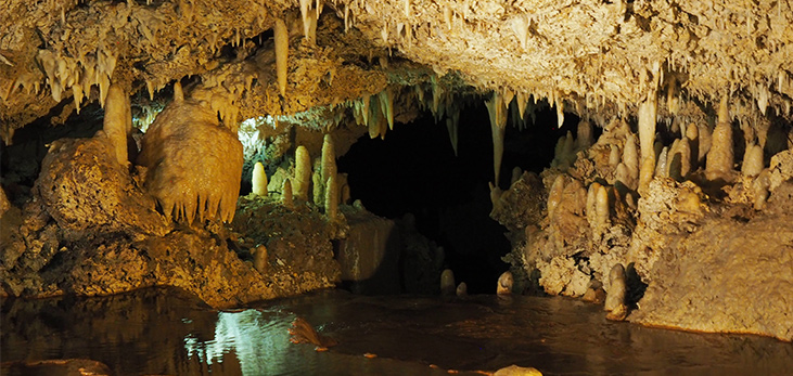 Harrison's Cave, St. Thomas, Barbados Pocket Guide