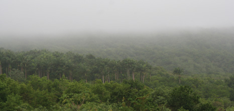 Heavy Cloud Cover Affecting the Scotland District, St. Andrew, Barbados Pocket Guide