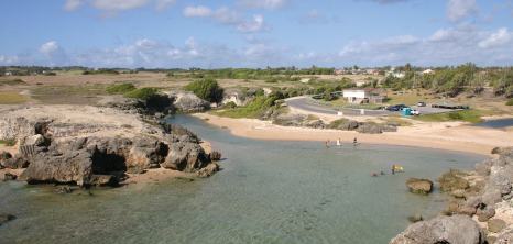 River Bay, St. Lucy, Barbados Pocket Guide