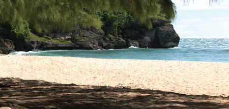 466x222-foul-bay-beach_barbados