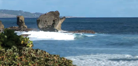 466x222-martins-bay_barbados