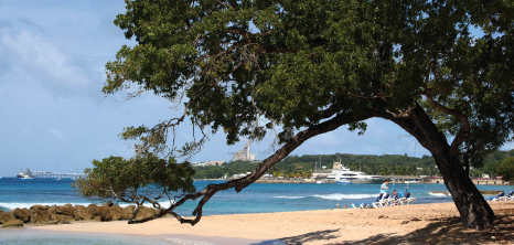 A View from Heywoods Beach Barbados