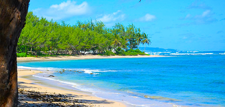 466x222-bath-beach_barbados