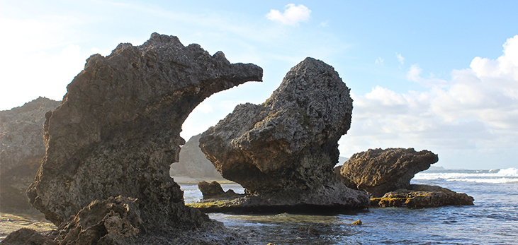 466x222-bathsheba-beach_barbados