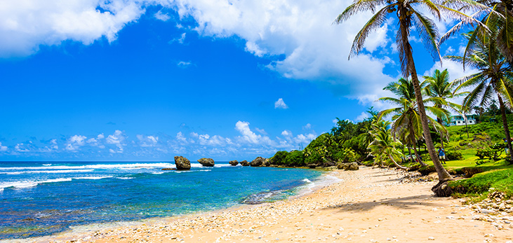 East Coast Beach, St. Andrew, Barbados Pocket Guide