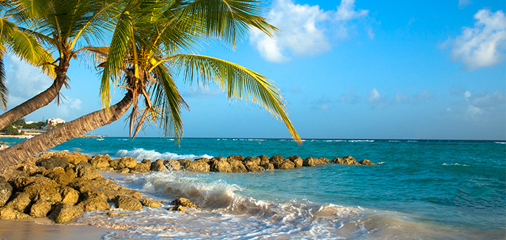 Maxwell Beach, Christ Church, Barbados Pocket Guide