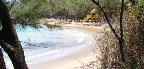 Peaceful Beach on the East Coast, Barbados Pocket Guide