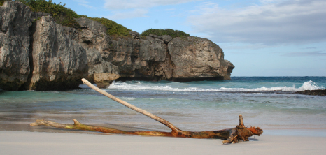 east-coast-beaches barbados