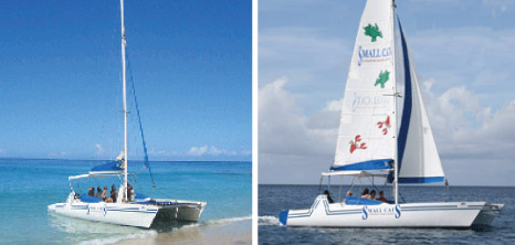 Small Cats Catamaran Sailing Cruises, Barbados Pocket Guide