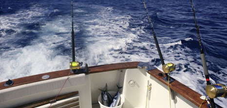 Deep Sea Fishing in Barbados' Warm & Tropical Waters, Barbados Pocket Guide