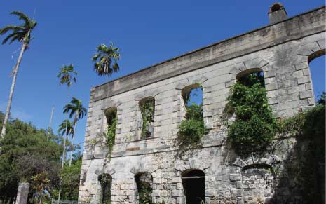 Remains of the Once Magnificent Farley Hill Mansion, Farley Hill, St. Peter, Barbados Pocket Guide