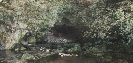 Animal Flower Cave, St. Lucy, Barbados Pocket Guide