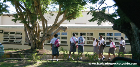 Pupils of the Coleridge & Parry Secondary School, St. Peter on the Way to Classes, Barbados Pocket Guide Pupils of the Coleridge & Parry Secondary School, St. Peter on the Way to Classes, Barbados Pocket Guide