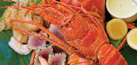 Lobster Meal, Kathy's Restaurant, Treasure Beach, Paynes Bay, St. James, Barbados Pocket Guide