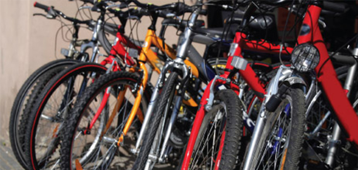 Mountain Bikes Parked Next to Each Other, Barbados Pocket Guide