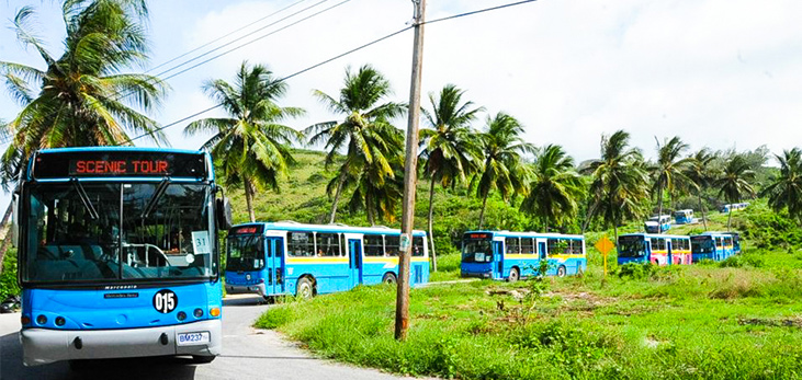 Transport Board Bus Driving Through the Country, Barbados Pocket Guide