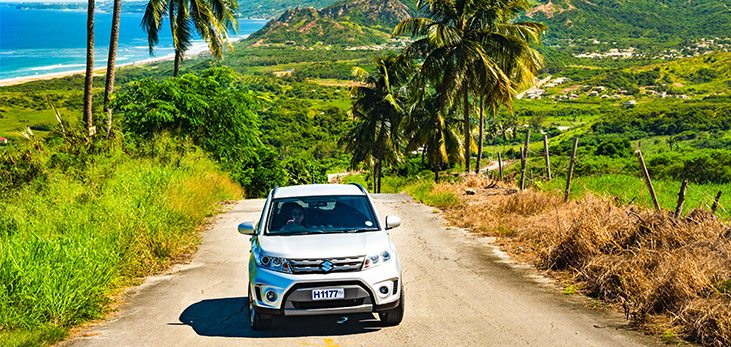 Tour Guide on An Island Safari, Barbados Pocket Guide