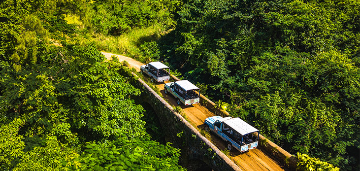 Island Safari Jeeps Driving Through a Bushy Area in St. Andrew, Barbados Pocket Guide