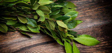 Bay Leaves on Wooden Table