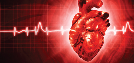 Heart & Pulse Rate Graph