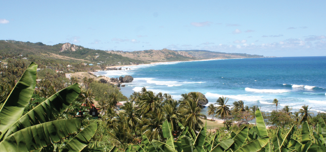 View of the East Coast of Barbados