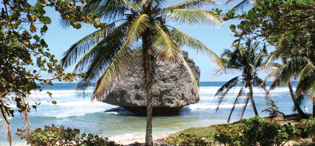 The Famous Rock at Bathsheba, St. Joseph, Barbados