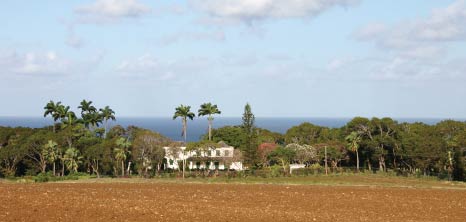 Plantation House Nestled Among Trees, Barbados Pocket Guide