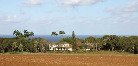 Bajan Dialect - Barbados Pocket Guide