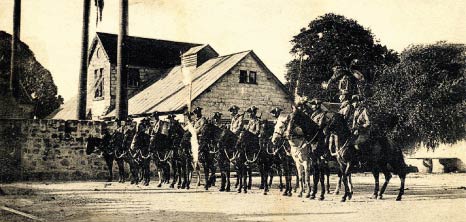 Mounted Military, Barbados Pocket Guide