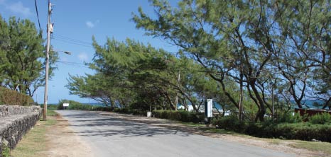 Popular Public Holiday Spot, Barclays Park, St. Andrew, Barbados Pocket Guide
